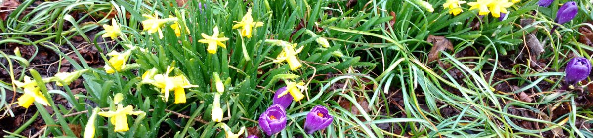 Quail Hollow Property Owners Association