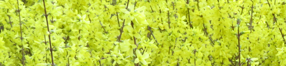 Quail Hollow Property Owners Association