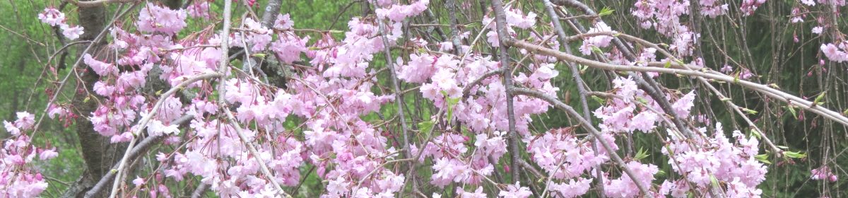 Quail Hollow Property Owners Association