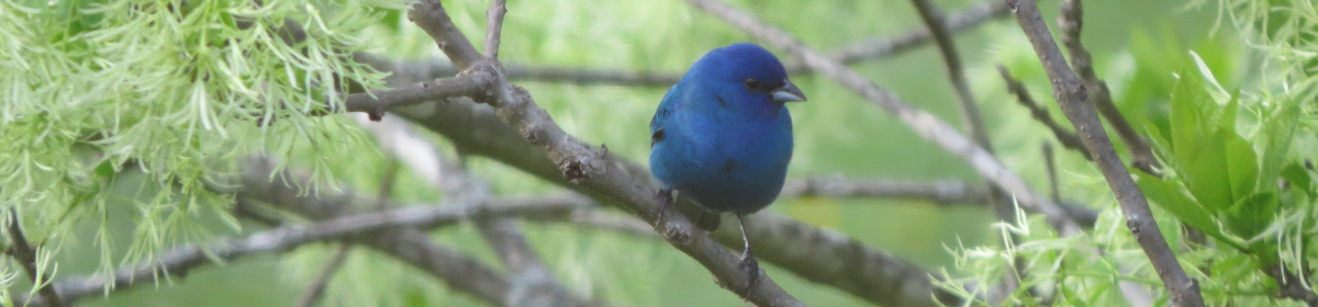 Quail Hollow Property Owners Association