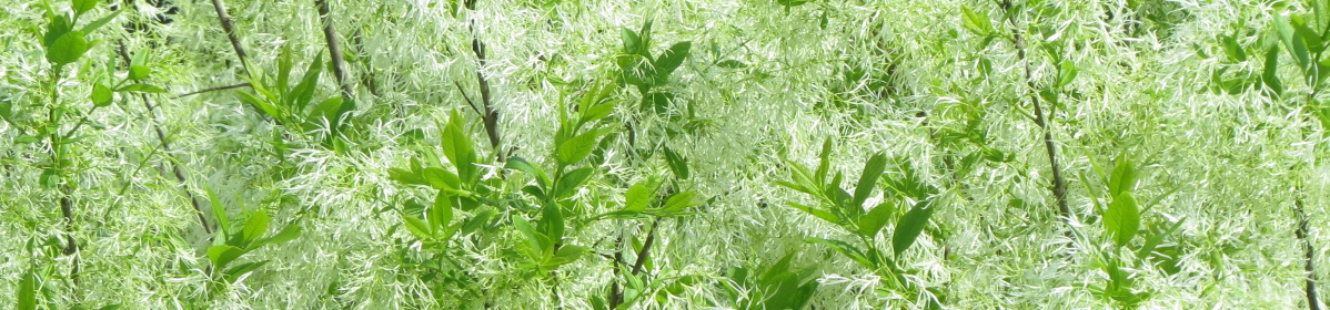 Quail Hollow Property Owners Association