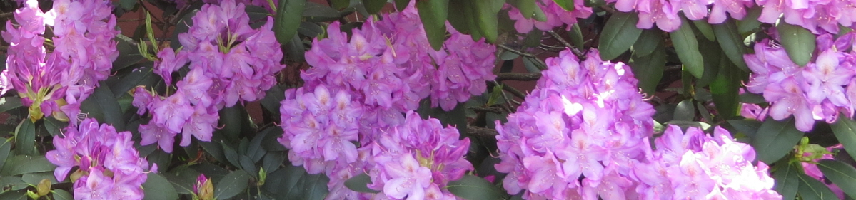 Quail Hollow Property Owners Association