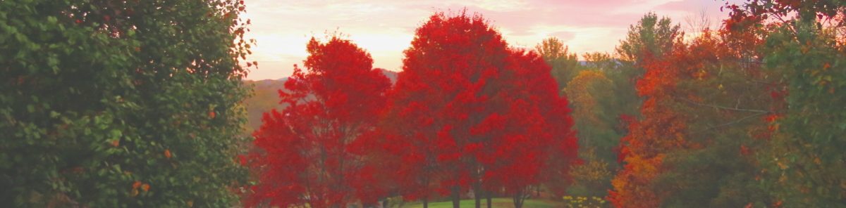 Quail Hollow Property Owners Association