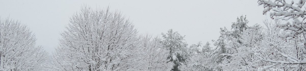 Quail Hollow Property Owners Association